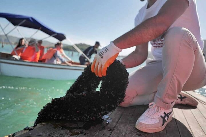 Ksamil: Mussel Sailing Tour with Food and Drink in Albania