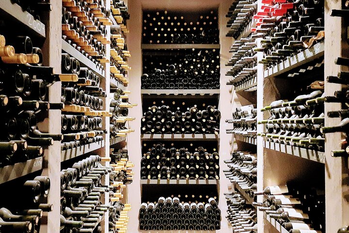 Uco Valley Wineries Day with Private Driver
