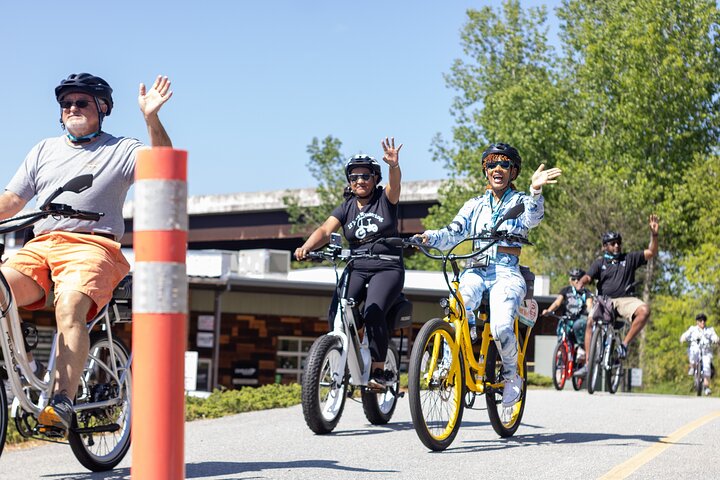 Pedego Electric Bike Tour at Greenville