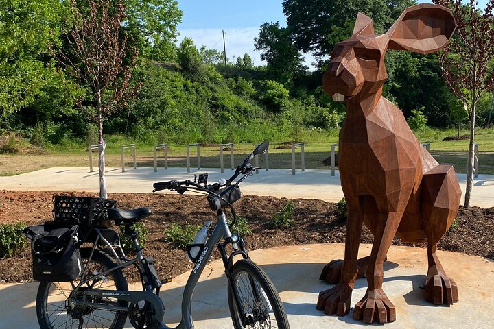 Pedego Electric Bike Tour at Greenville