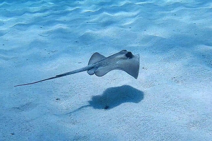 Discover Scuba Diving
