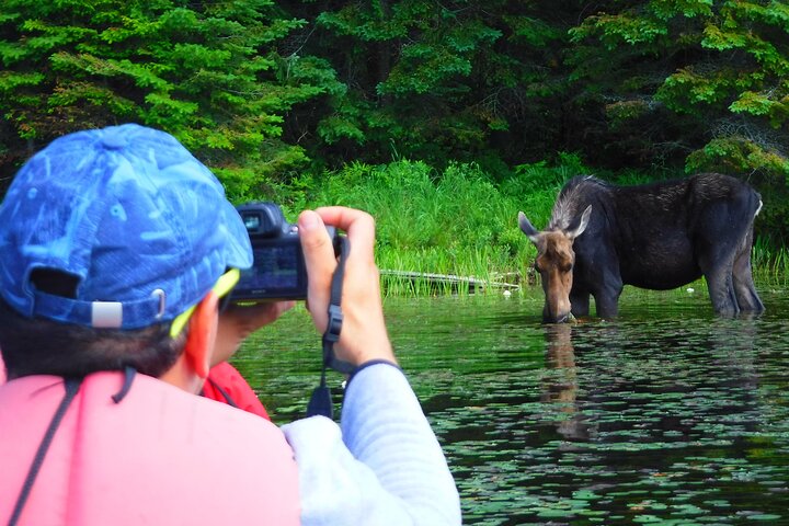 Algonquin Park 3-Day Deluxe Camping & Canoeing Adventure