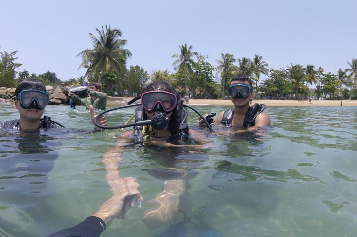 Beginner Scuba Diving Guided Tour - No Experience Required