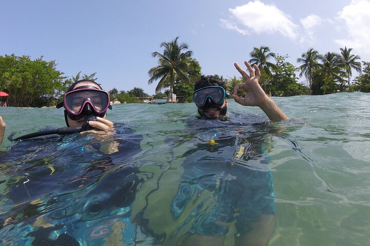 Beginner Scuba Diving Guided Tour - No Experience Required