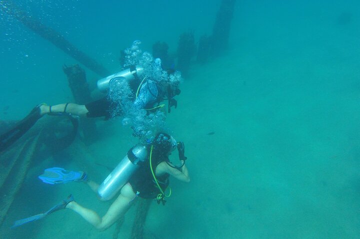 Beginner Scuba Diving Guided Tour - No Experience Required