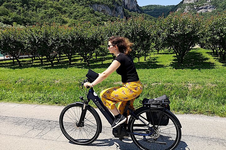 Unesco Palladian Villas in Vicenza: E-Bike private tour with picnic and aperitif