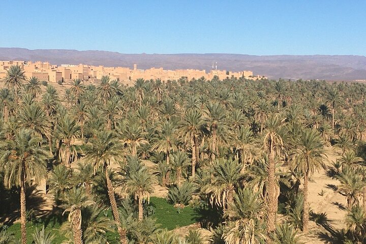 Private Excursion from Ouarzazate to Gorges Dades, Valley of Roses and Skoura