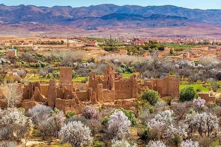Private Excursion from Ouarzazate to Gorges Dades, Valley of Roses and Skoura