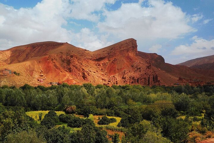 Private Excursion from Ouarzazate to Gorges Dades, Valley of Roses and Skoura