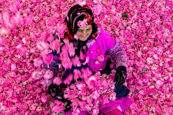 Private Excursion from Ouarzazate to Gorges Dades, Valley of Roses and Skoura