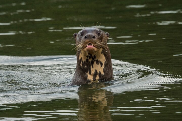Tambopta National Reserve 5 days tour