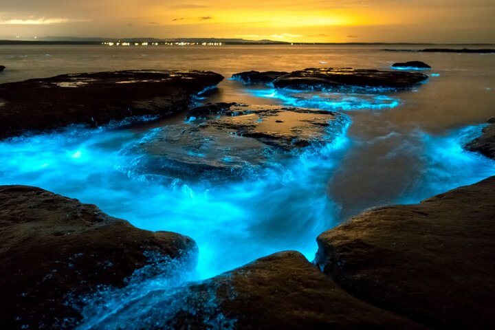Bioluminescence Clear Kayak & Paddleboard Tour – Near Orlando