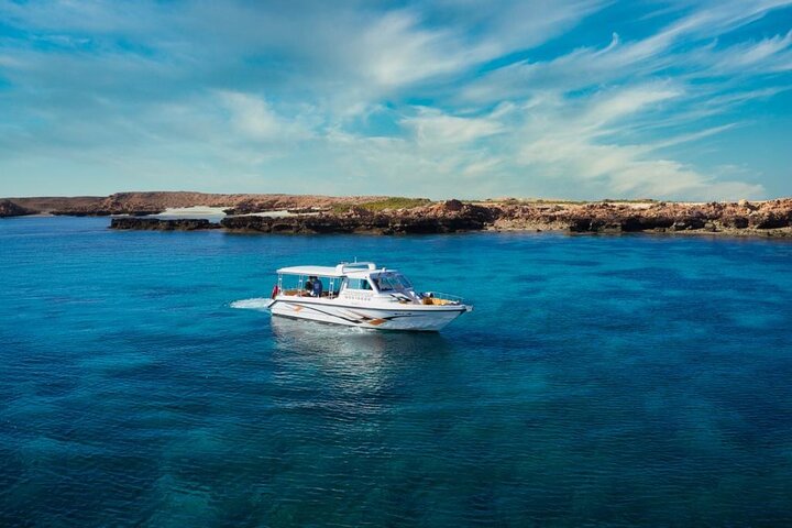Daymaniyat Islands Snorkeling Sharing Trip