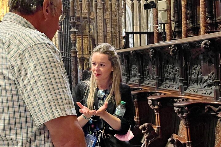 Toledo Private Tour with Licensed Guide and Driver from Madrid