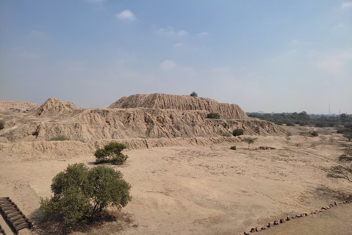 Piramids of Tucume Tour, Sican Museum and Lambayeque city tour