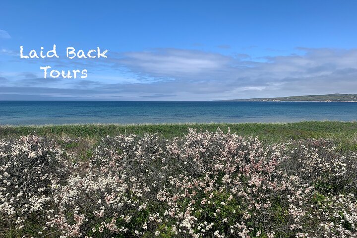Private, Guided Sightseeing Tour of Marthas Vineyard Island(3hrs)