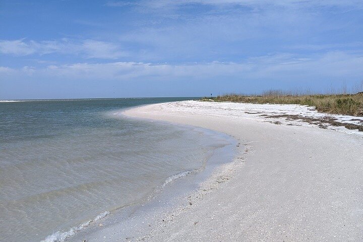 Three Hour Shelling Cruise to Shell Key Preserve from John's Pass
