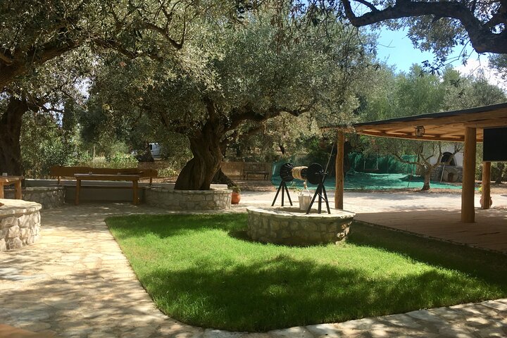 Olive Tour & Tasting