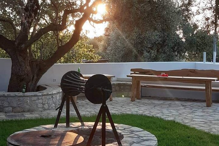 Olive Tour & Tasting