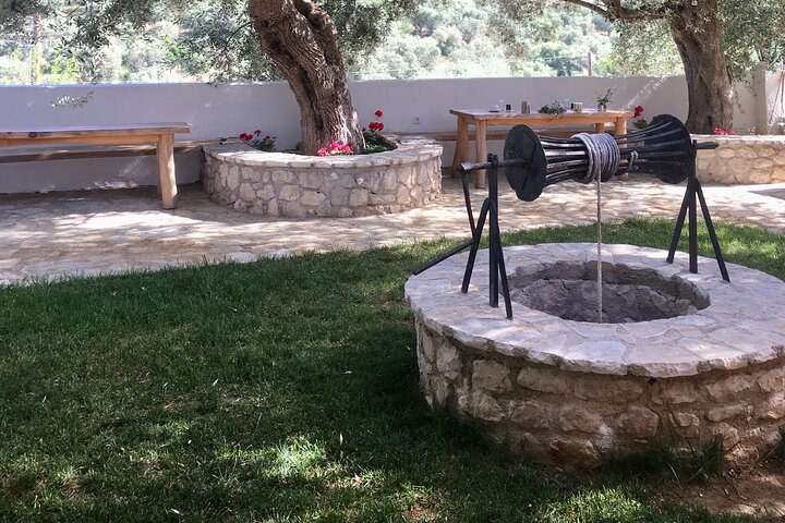 Olive Tour & Tasting