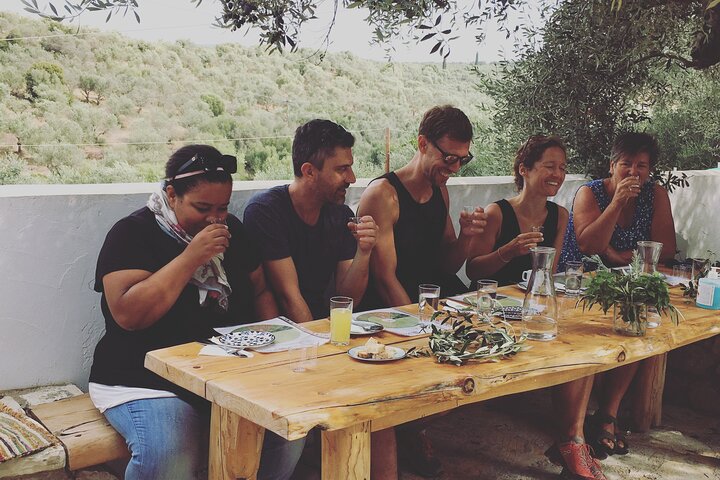 Olive Tour & Tasting