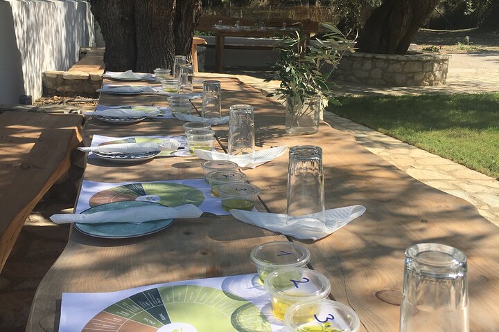 Olive Tour & Tasting