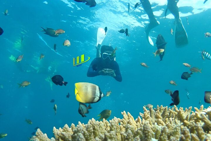 Tulamben Snorkeling in USAT Liberty Shipwreck Karangasem Bali