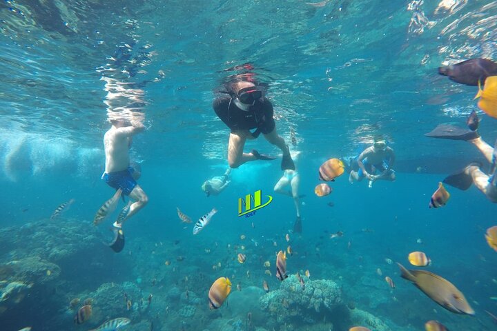 Tulamben Snorkeling in USAT Liberty Shipwreck Karangasem Bali