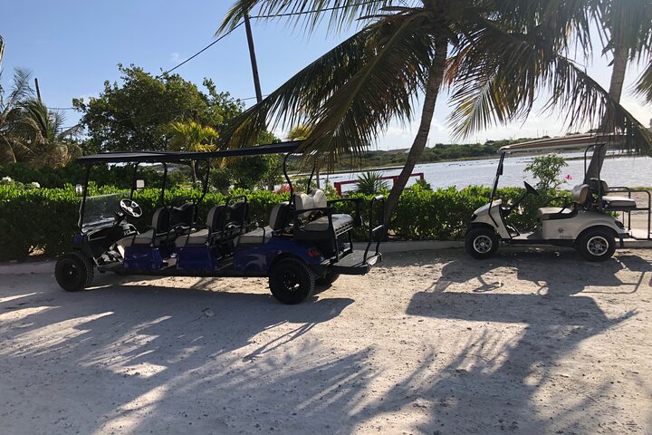 Drive GDT - Golf Cart Rentals
