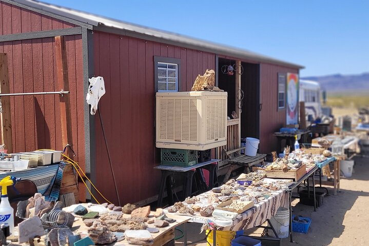 Oatman Mining Camp & Burros: Historic Route 66 Tour from Laughlin