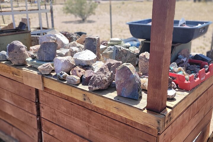 Oatman Mining Camp & Burros: Historic Route 66 Tour from Laughlin