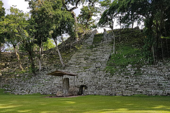From San Pedro Sula: Mayan Ruins of Copan Day Trip