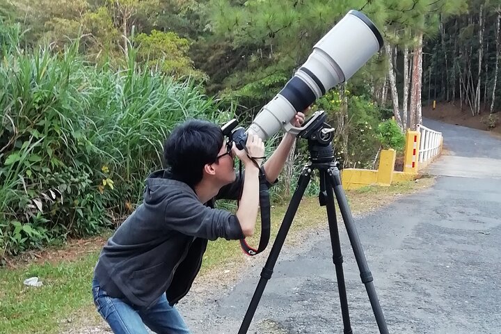 Birding Pipeline Road from Panama City or Gamboa