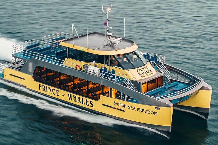 Vancouver Half-Day Whale Watching Adventure with Free Photos