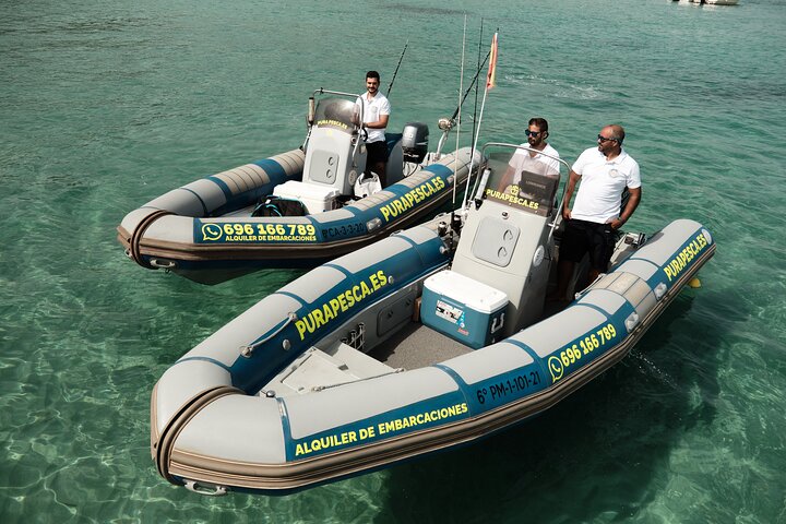 Private Tour with Dolphin Watching in Algeciras Bay