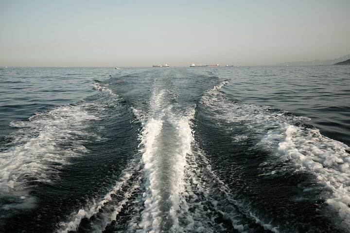 Private Tour with Dolphin Watching in Algeciras Bay