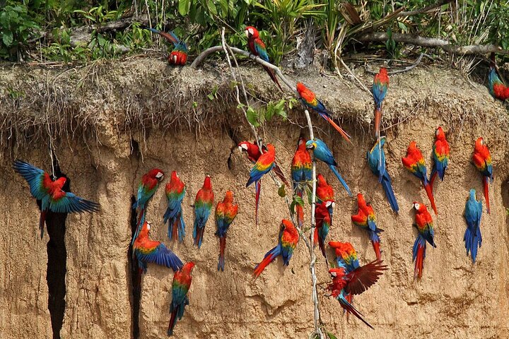 Tambopta National Reserve 5 days tour