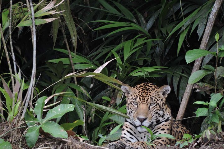 Tambopta National Reserve 5 days tour