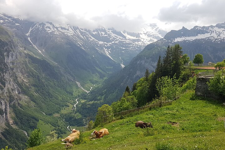 Lauterbrunnen-Mürren: Swiss Alps Small Group Tour from Interlaken