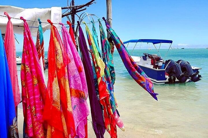 Fully Day Tour: Dolphin Encounters, Crystal Rock at Benitiers Island