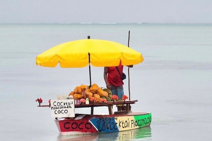 Fully Day Tour: Dolphin Encounters, Crystal Rock at Benitiers Island