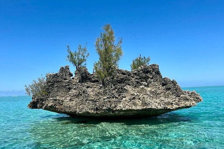 Fully Day Tour: Dolphin Encounters, Crystal Rock at Benitiers Island