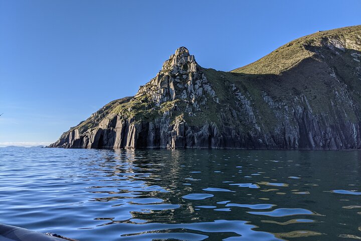 Boat Tour of Dingle Peninsula