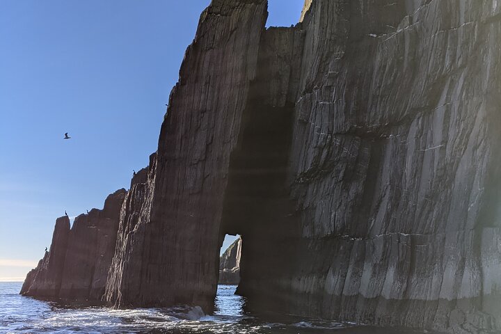 Boat Tour of Dingle Peninsula