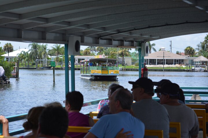 Cocoa Beach Dolphin and Wildlife Tour