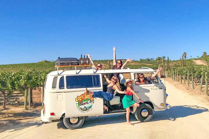 VW Bus 2-Stop Wine Tour Temecula - Retro Cali Vibes