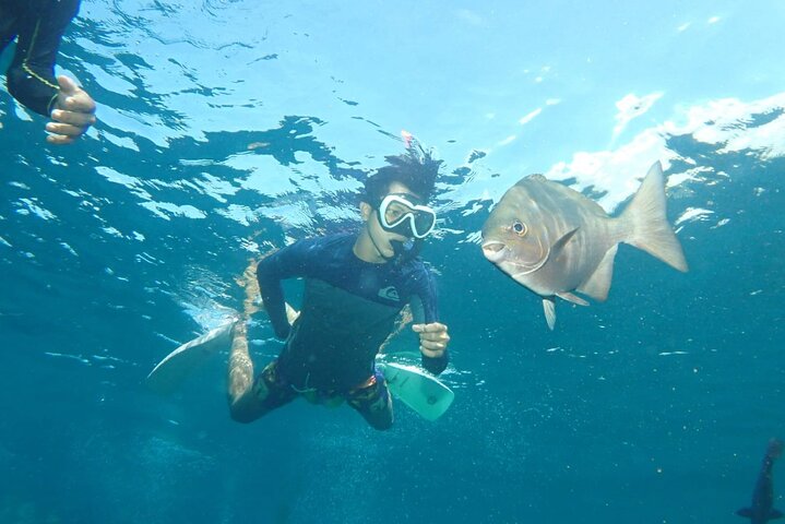 Tulamben Snorkeling in USAT Liberty Shipwreck Karangasem Bali