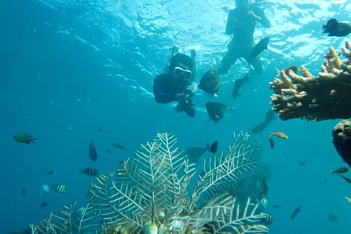 Tulamben Snorkeling in USAT Liberty Shipwreck Karangasem Bali