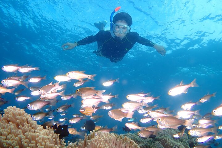 Tulamben Snorkeling in USAT Liberty Shipwreck Karangasem Bali