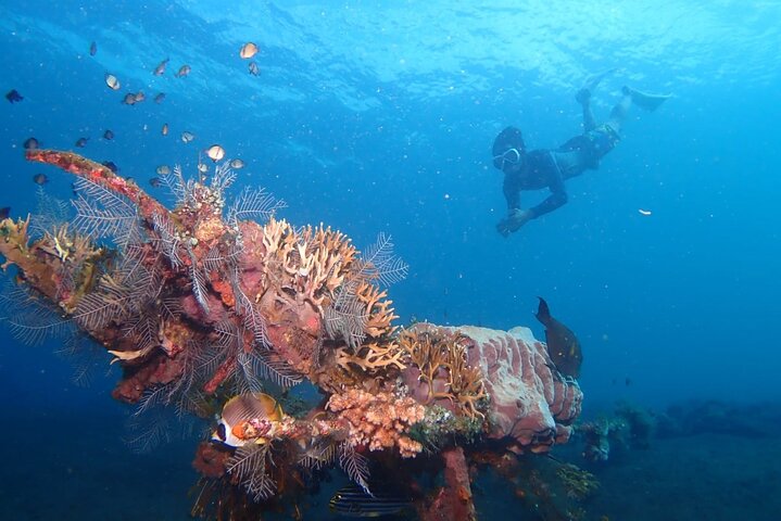 Tulamben Snorkeling in USAT Liberty Shipwreck Karangasem Bali